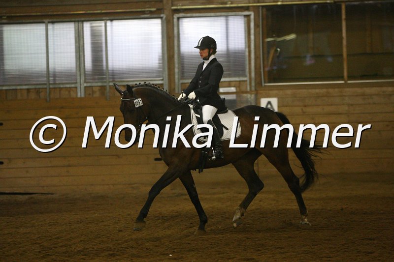 007L6750_Weihtless_Dresspferde A.JPG